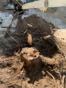 brauche-bagger.de_Reisszahn2