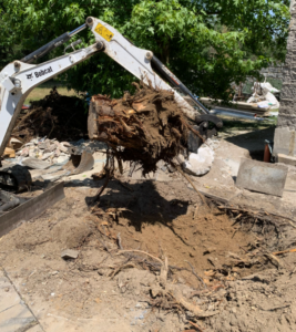 brauche-bagger.de_Reisszahn3